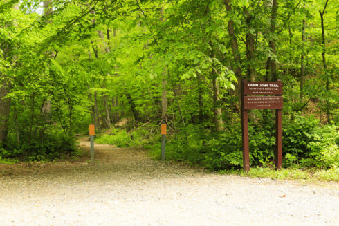 Cabin John Stream Valley Trail