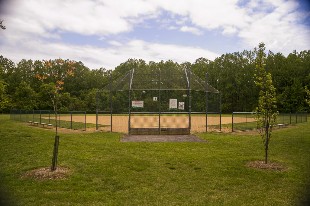 ednor local park