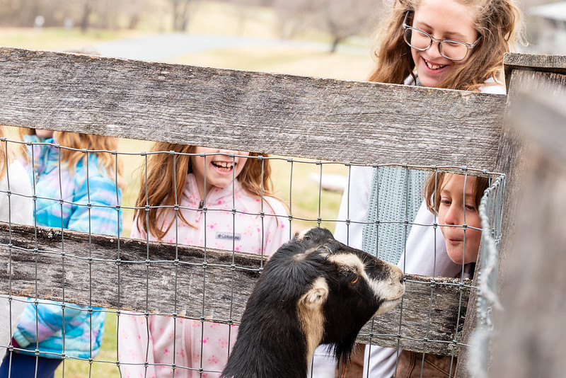 Homeschool program at Agricultural History Farm Park.