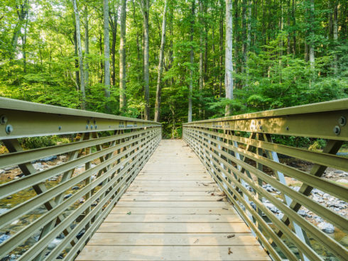 Little Bennett Regional Park